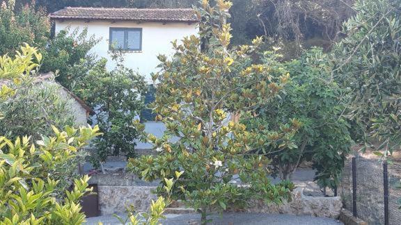 White Manolia Cottage Kato Korakiana ภายนอก รูปภาพ